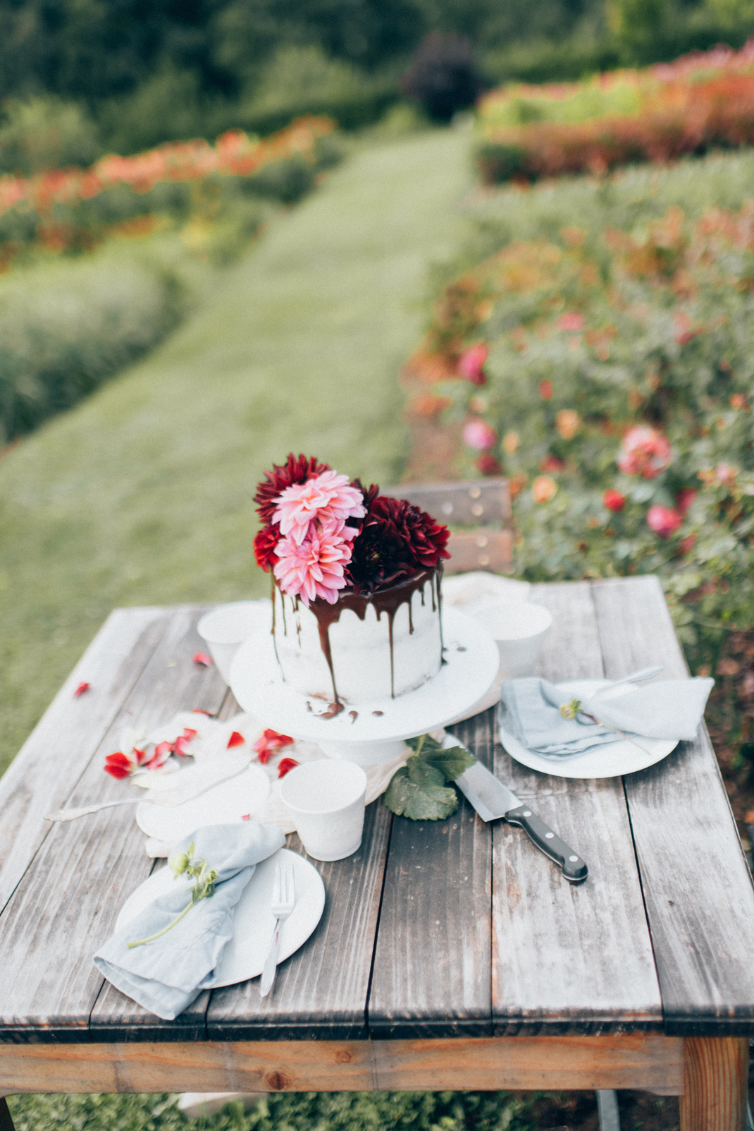 Silvia Fischer. Echte Kuchenliebe. Torte auf Tisch im Blumengarten