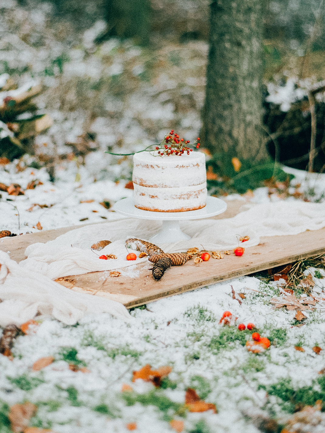 Bratapfeltorte - Weihnachtsrezept von Silvia Fischer. echte kuchenliebe