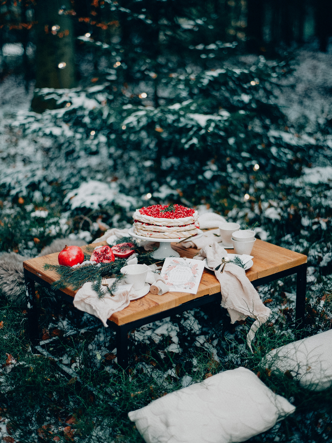 Silvia Fischer. Echte Kuchenliebe. Granatapfel Pavlova