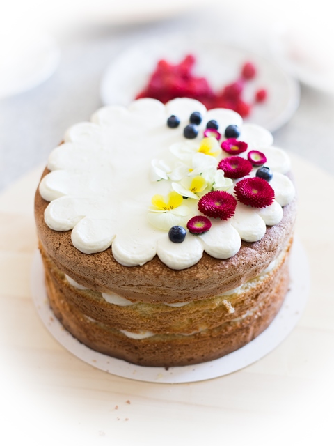 Naked Cake backen mit Hofer und Silvia Fischer