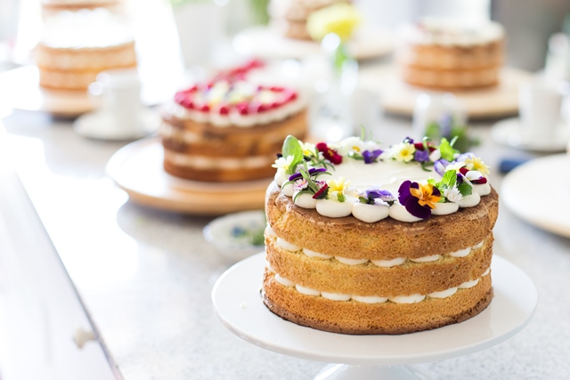 Naked Cake backen mit Hofer und Silvia Fischer