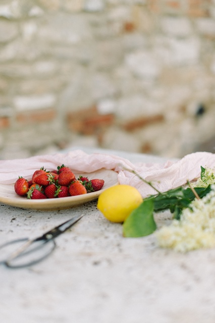 Erdbeer Panna Cotta Torte Rezept Silvia Fischer, echte Kuchenliebe