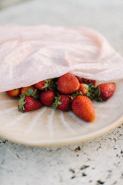 Erdbeeren Panna Cotta, Rezept Silvia Fischer, echte Kuchenliebe